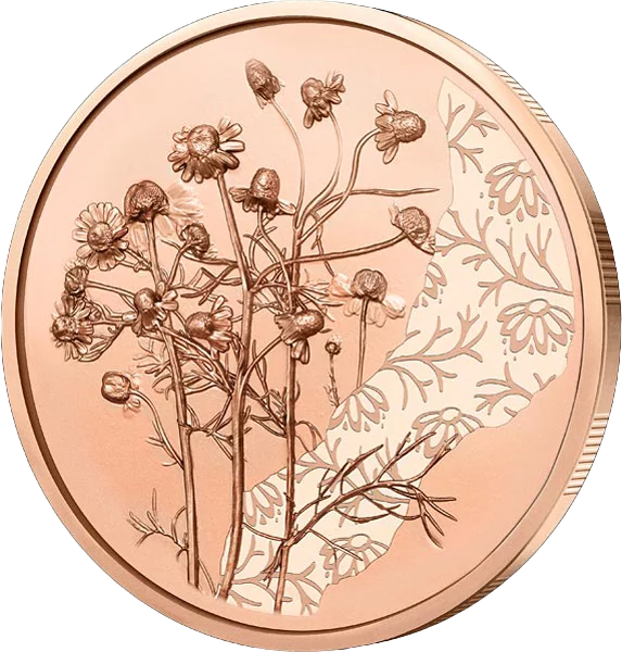 10 euros Autriche Avec le langage des fleurs - Camomille 2023