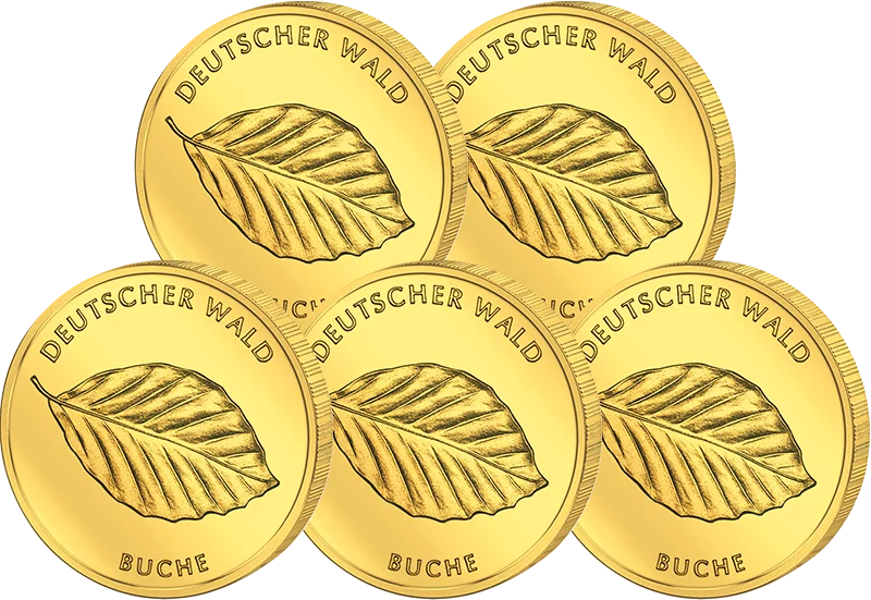 5x20 Euro BRD Hêtre des forêts allemandes 2011 État excellent à neuf (A - J)