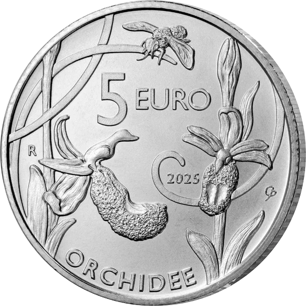 Orchidées sauvages de Saint-Marin à 5 euros (2025)