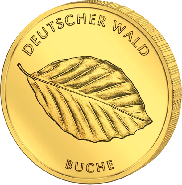 20 euros Allemagne Hêtre des forêts allemandes 2011 État excellent à neuf