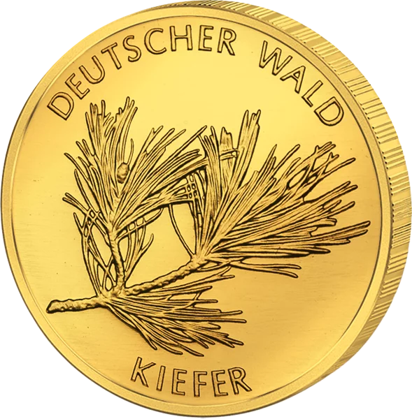 20 euros Allemagne Pin des forêts allemandes 2013 État excellent à neuf