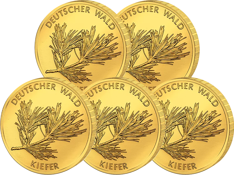 5x 20 euros Allemagne Pin des forêts allemandes 2013 Excellent (A-J)